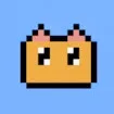 Cat Flight