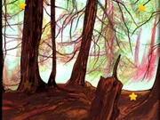 Forest Hidden Stars