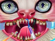 Kitty Dental Caring