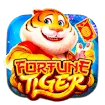 Lucky Tiger