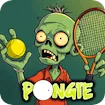 Pongie