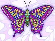 Pretty Butterfly Coloring