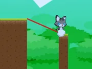 Swing Cute Cat